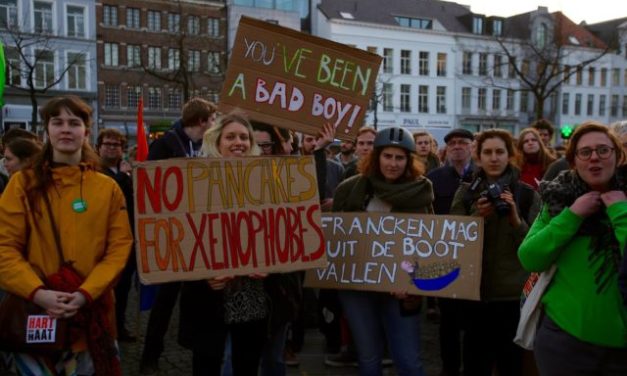 De Vlaamse kleinburgers en de N-VA