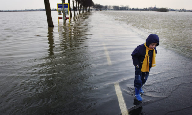 Hoe Rutte Nederland laat verdrinken
