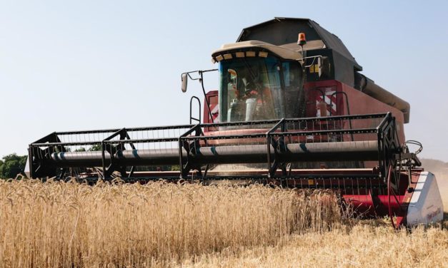 Oorlog tegen Oekraïne ook ramp voor Afrika