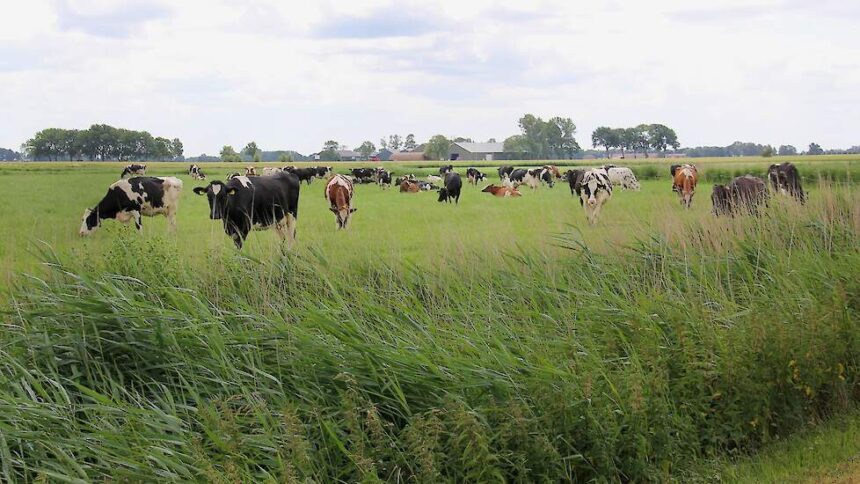 Niets natuurlijks aan kapitalistische landbouw