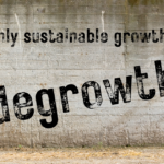Negen stellingen over ecosocialistische degrowth